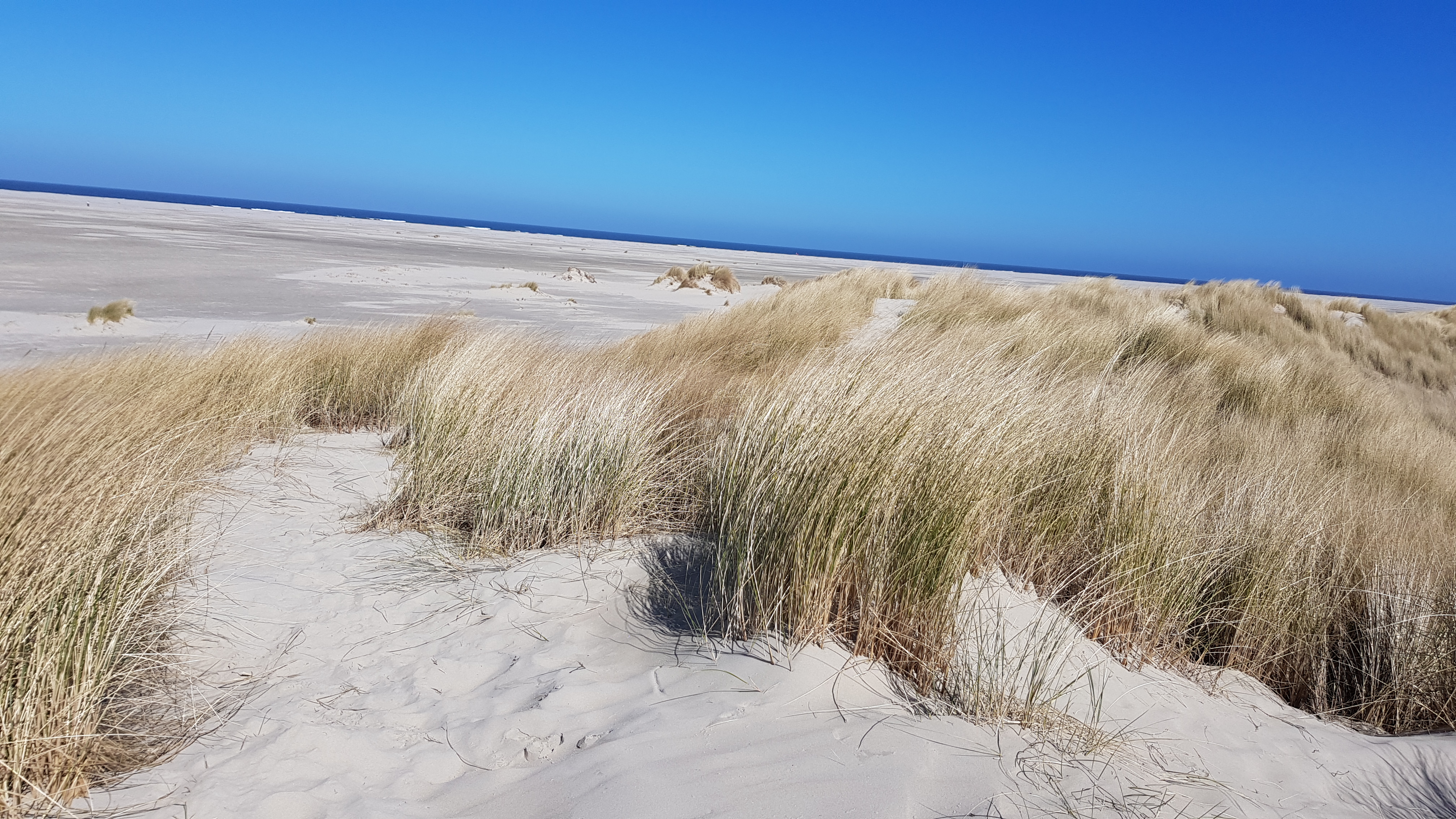 Bild »20250329_115724.jpg« aus Ordner